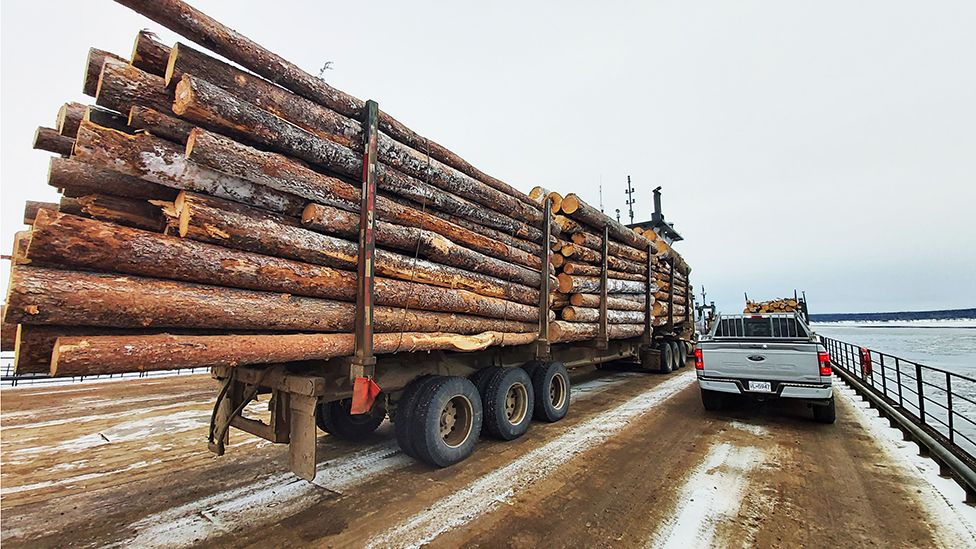 Lorry carrying logs on Canadian road