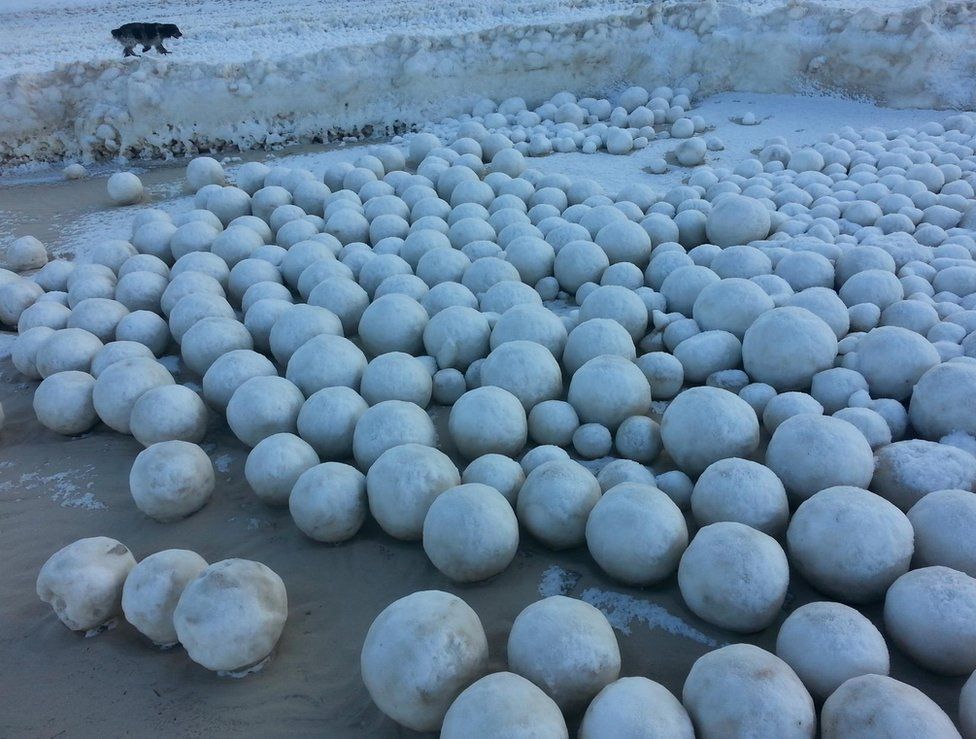 A picture of natural snowballs formed in the Gulf of Ob and photographed by Sergei Bychenkov.