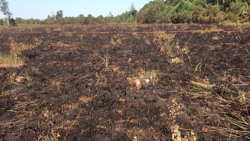 Laughton woodland saved as major blaze rips through grassland - BBC News