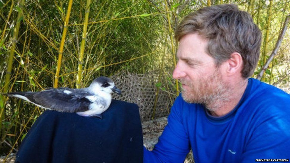 Adam Brown holding a black-capped petrel