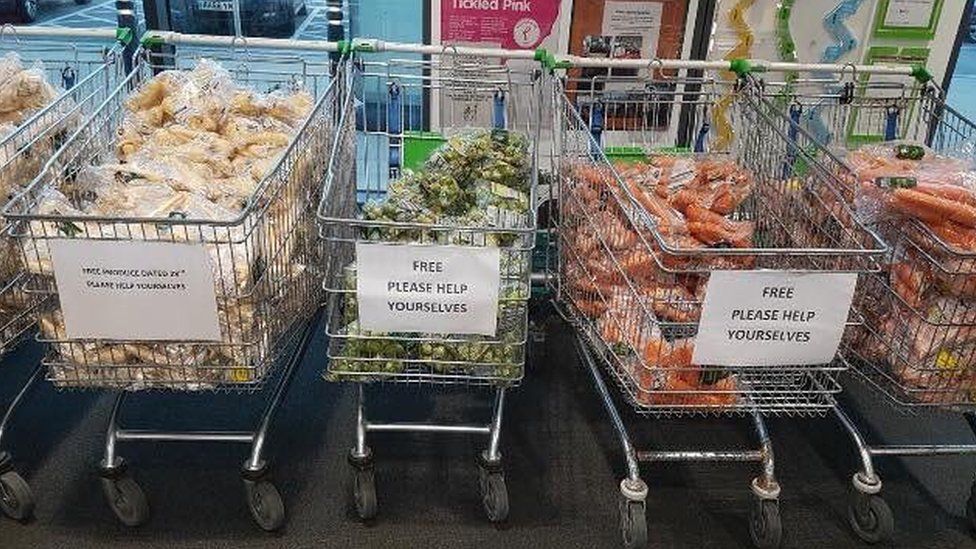 Trolleys full of vegetables