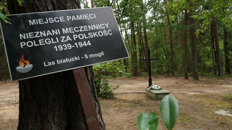 Символическая могила в Белуцком лесу недалеко от Илово, 13 июля 2022 г.