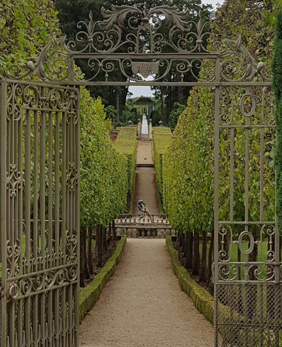 Hedges lining a garden path