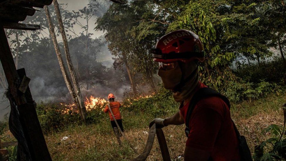 Пожарные тушат пожар в зеленой зоне между Манаусом и Ирандубой, на Амазонке, Бразилия, 5 сентября 2023 года.