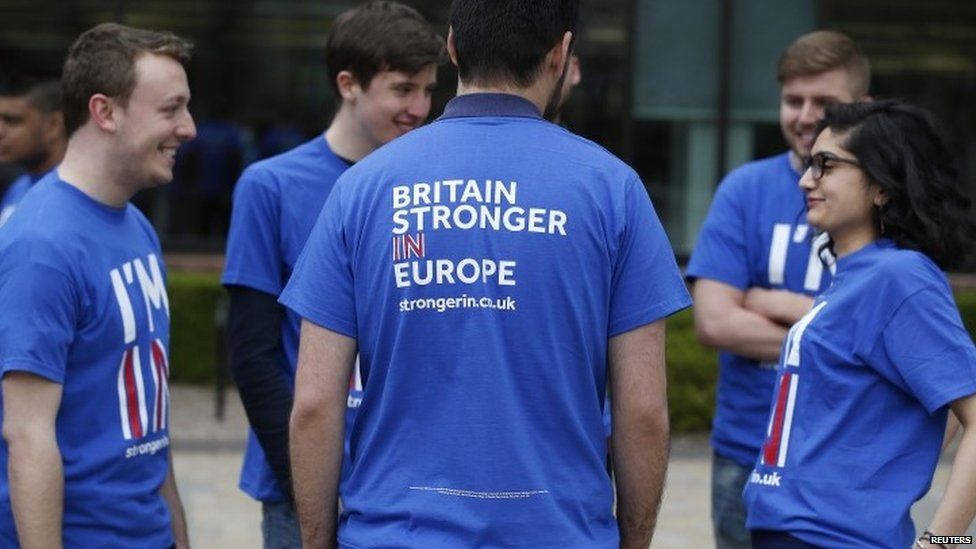 Supporters of Britain Stronger in Europe