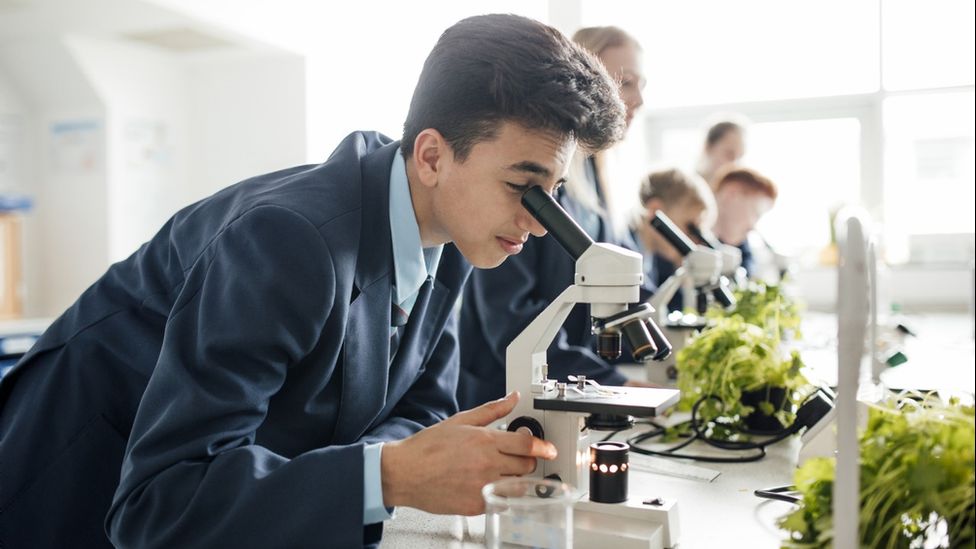 Студент смотрит в микроскоп