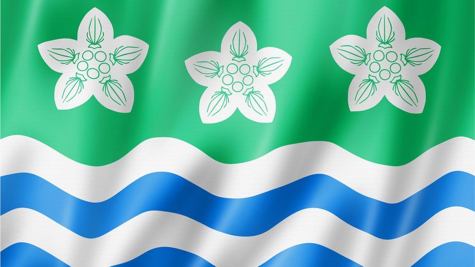 Cumberland County flag