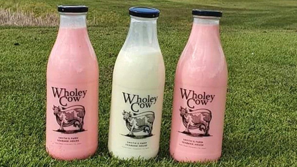 Wholey Cow milk