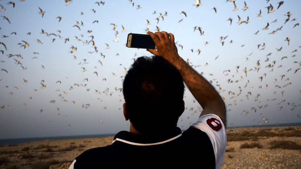 Bahraini man with mobile phone