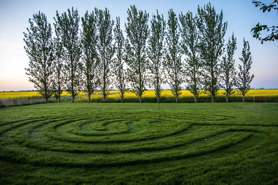 Circles in the grass