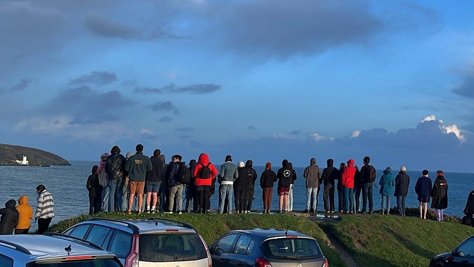 Crowds watching the whales