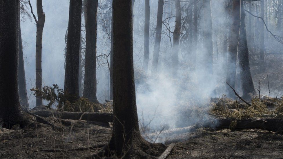 Canada wildfire: Alberta blaze threatens neighbouring province - BBC News