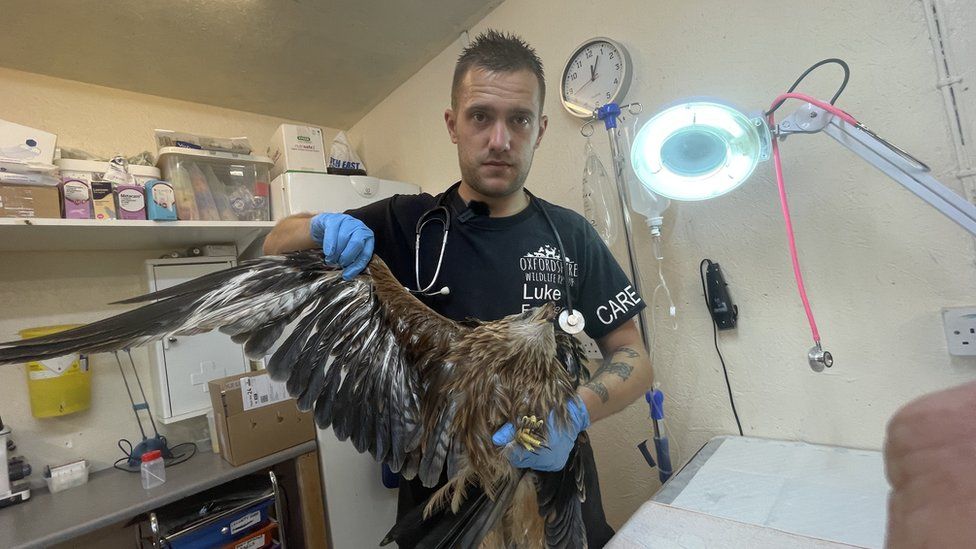 Wildlife charity owner Luke Waclawek holds one of the birds