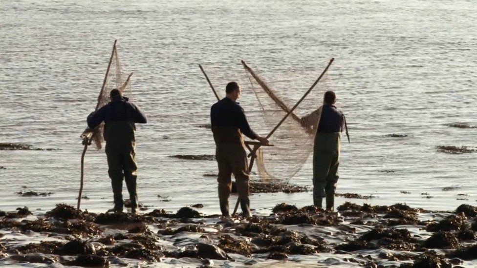 Fishermen on the water's edge holding big nets aloft