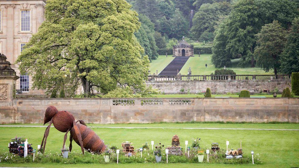 A garden with a giant ant in it near Chatsworth House