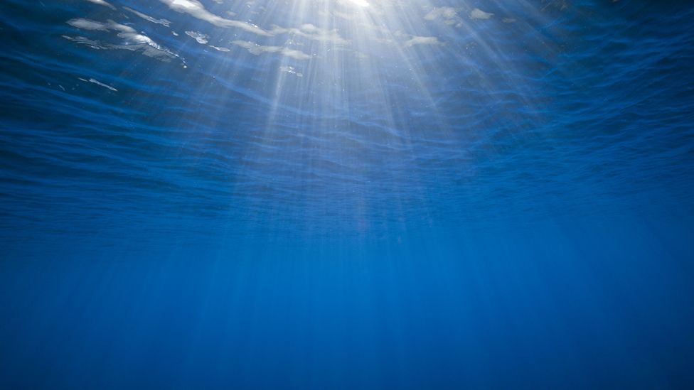 The sea, looking up from underneath the water