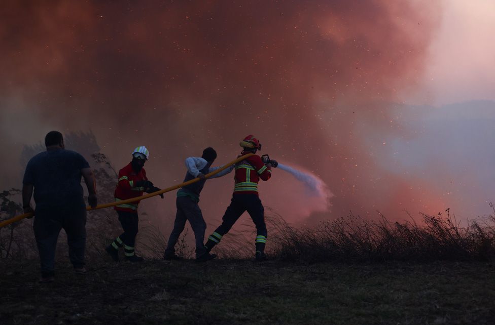 A firefighter and locals try to extinguish a wildfire in Cascais, Portugal