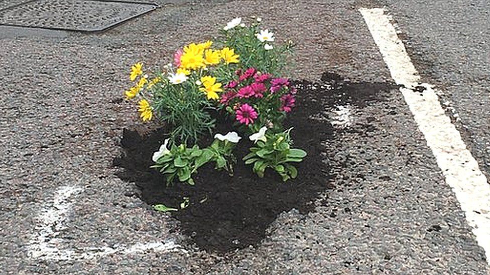 Flowers planted in potholes