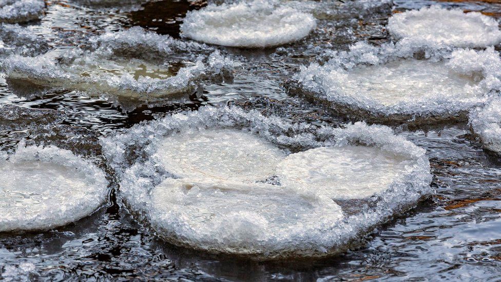 Rare ice pancakes form on River Swale in Richmond BBC News