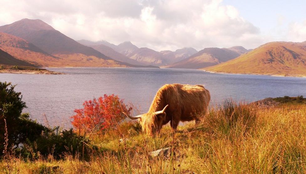 Your pictures of Scotland 19 26 October BBC News