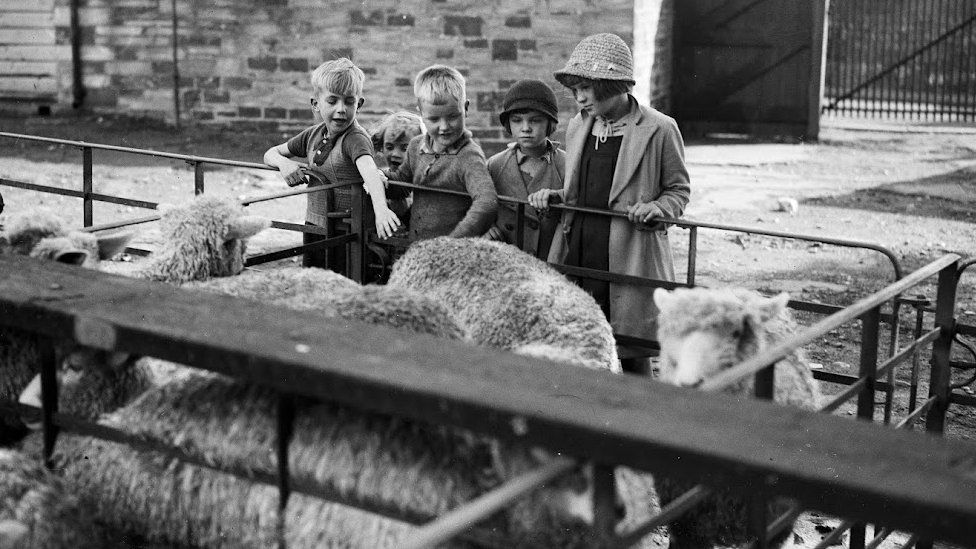 Black and white photo f children with sheep
