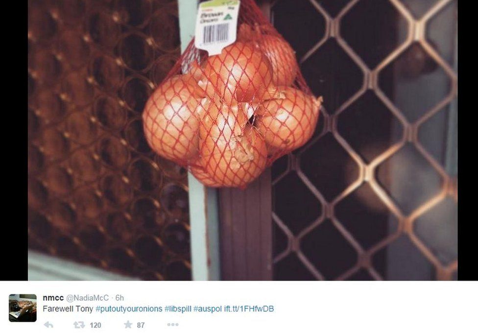 Onions hung on a door