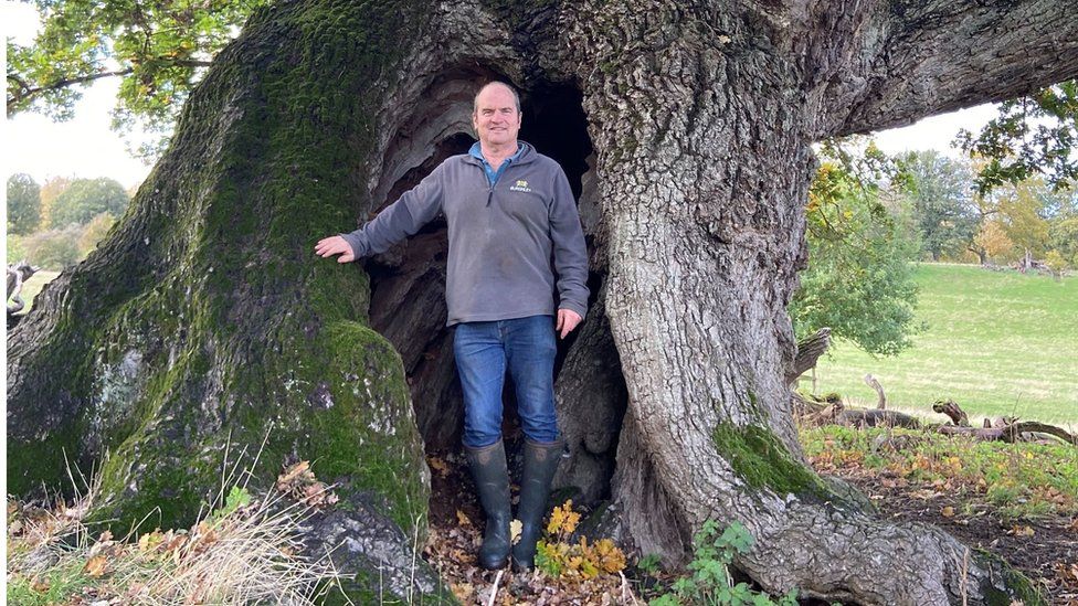Head forester Peter Glassey with an ancient oak tree