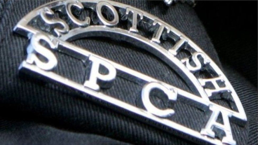 Scottish SPCA badge