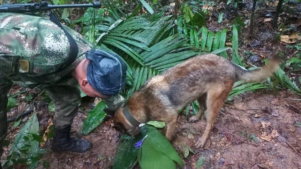 собака и член отряда спецназа осматривают то, что должно быть импровизированным убежищем с ножницами и заколками для волос