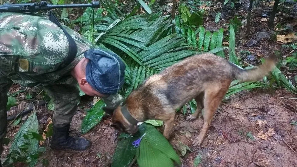 Mapping the search for Colombia's plane crash children