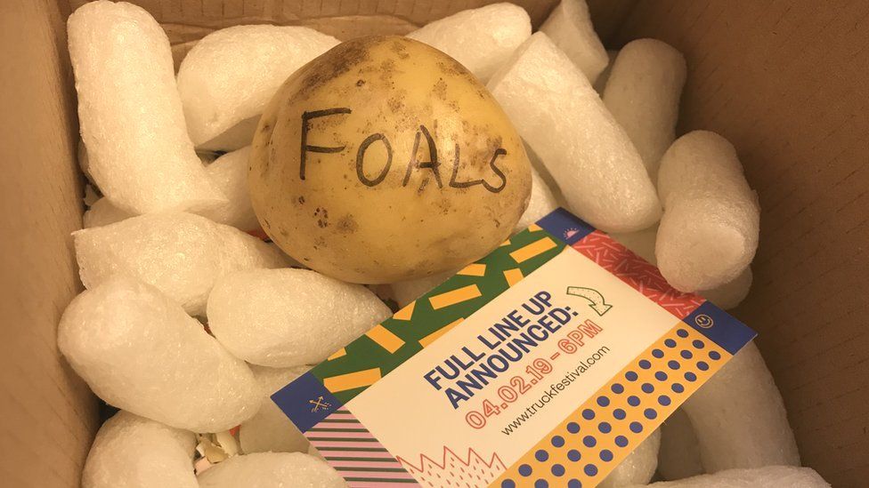 A potato with Foals written on it