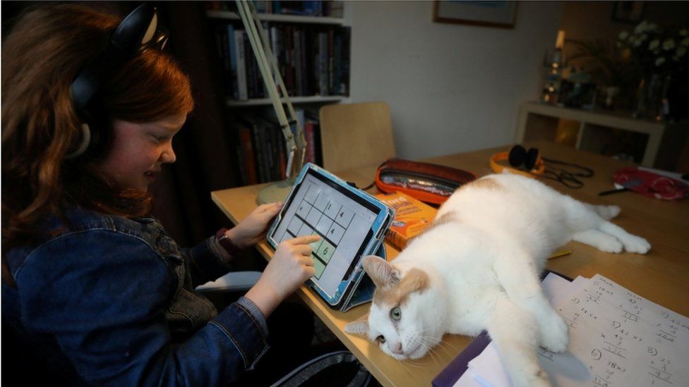 8-year-old Alice Wilkinson is joined by her cat Freddie as she does her maths online schooling in Manchester