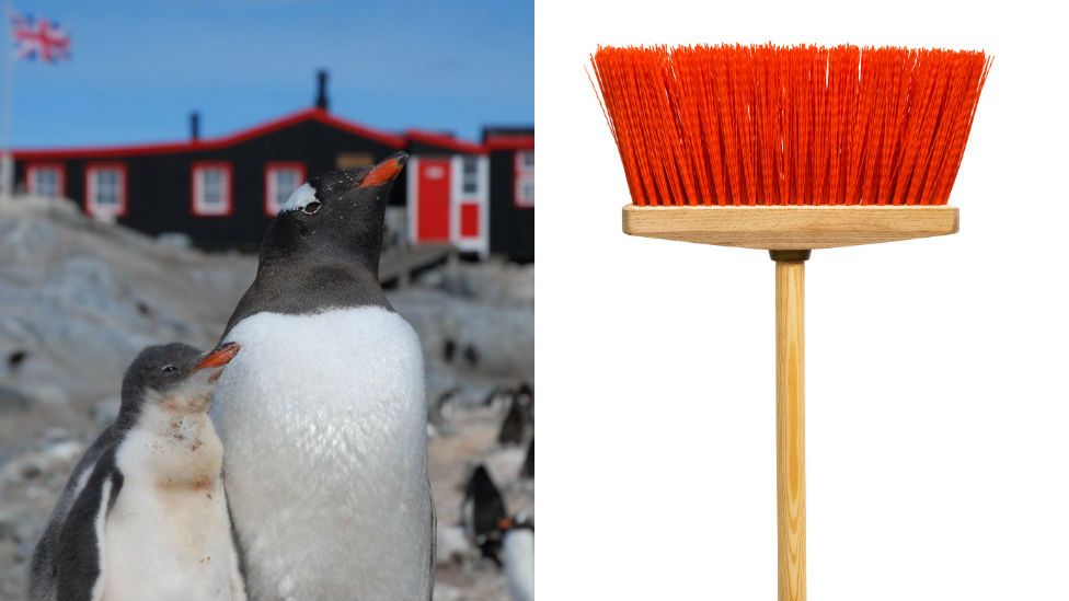 Penguins and a broom