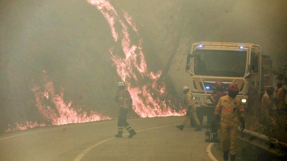 Firefighters work to extinguish a forest fire in Alvendre, near Guarda, Portugal, 18 July 2022