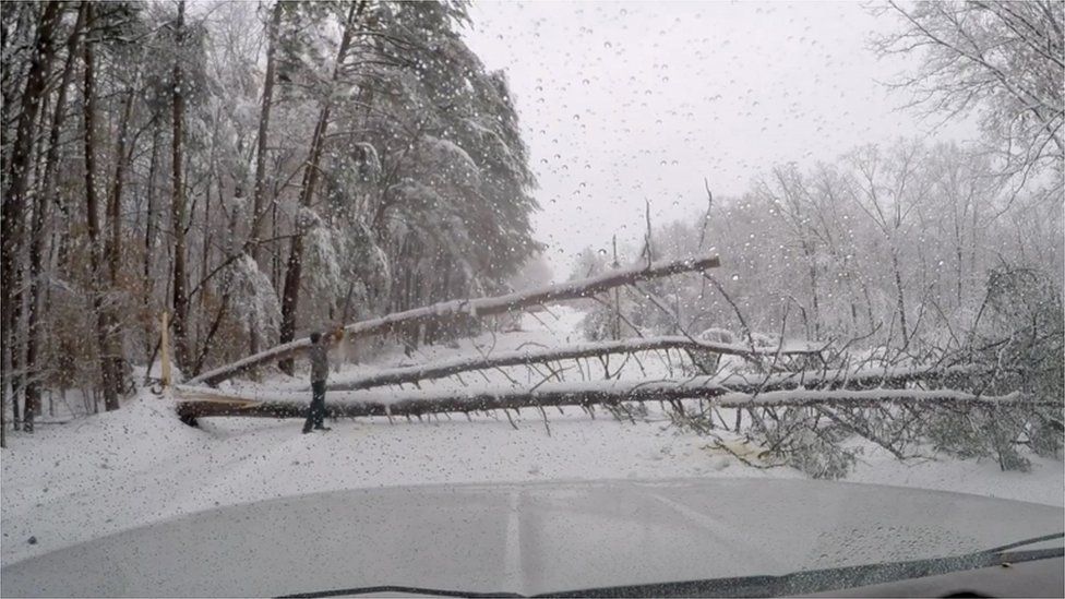 A fallen tree blocks the road in South Carolina