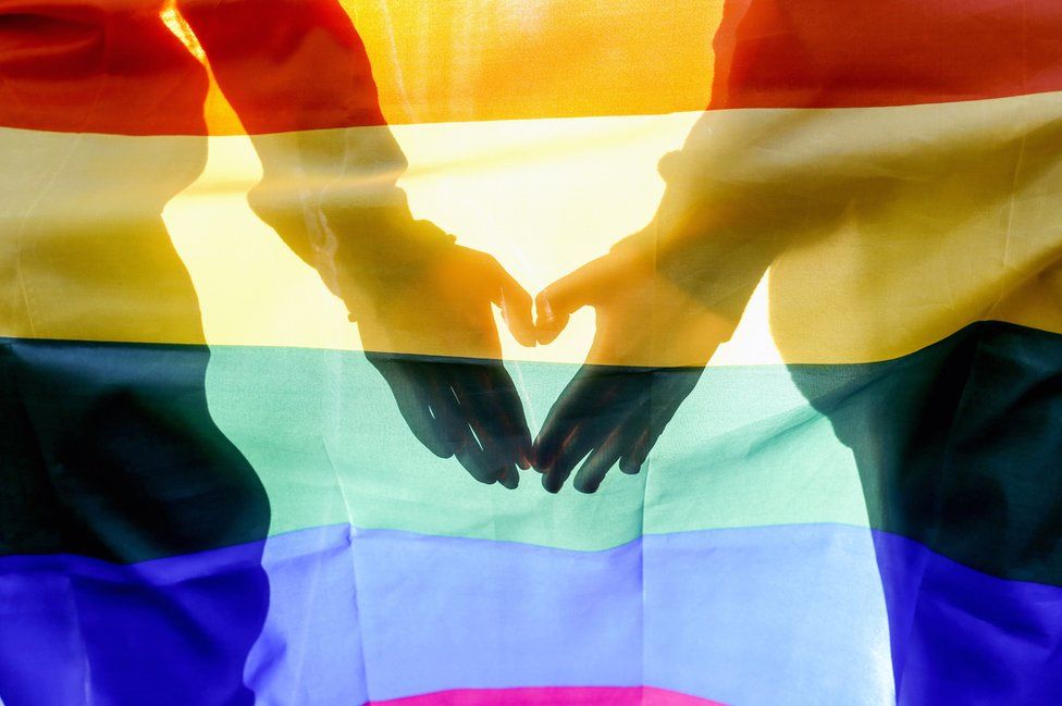 A couple make a heart symbol with their hands behind a pride flag