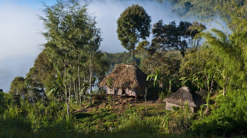 A hut in PNG's Highlands region