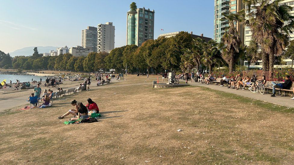 A Vancouver park with brown grass