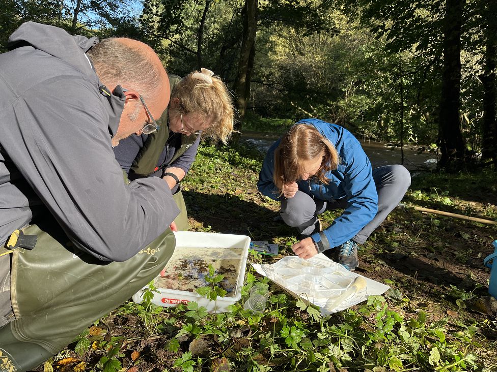 James Hunt, Suzanne Taylor and Anne Woodcock count the mayflies