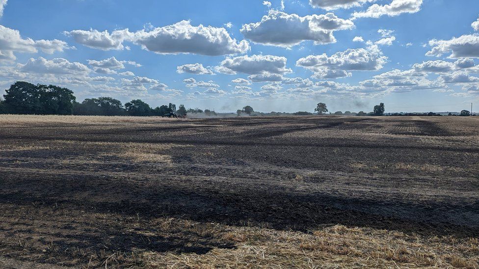 Land in Bucks destroyed by fire