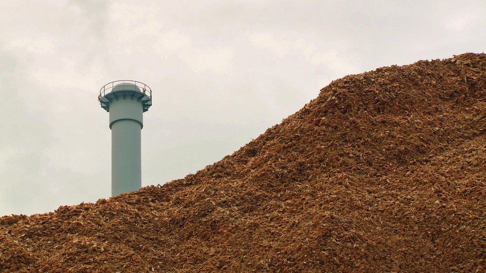 Forestry waste biomass fuel and power station smoke stack