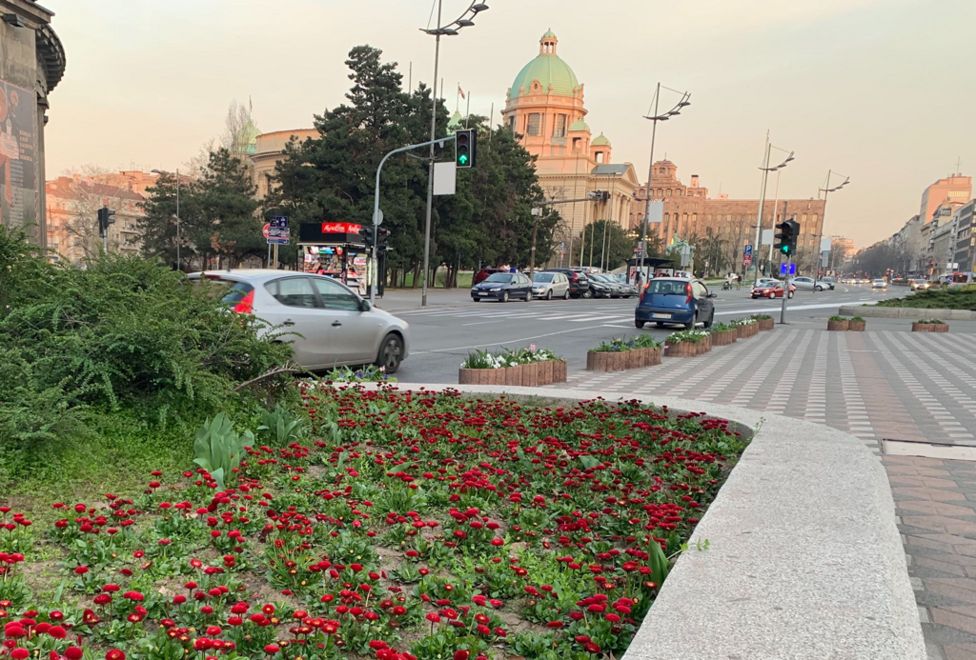 trg nikole pašića