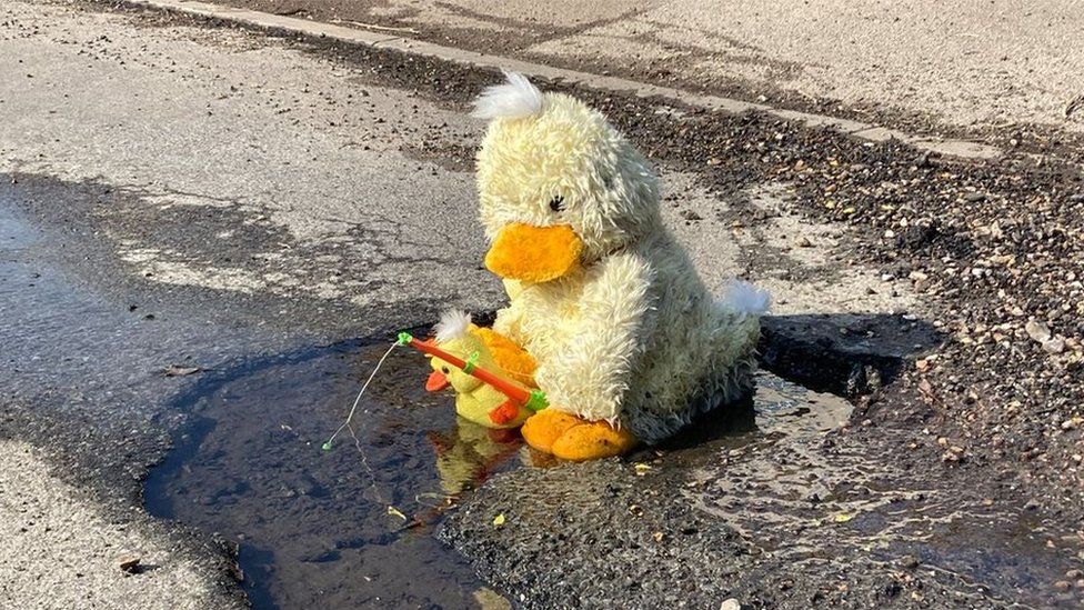 Toy duck fishing in a pothole