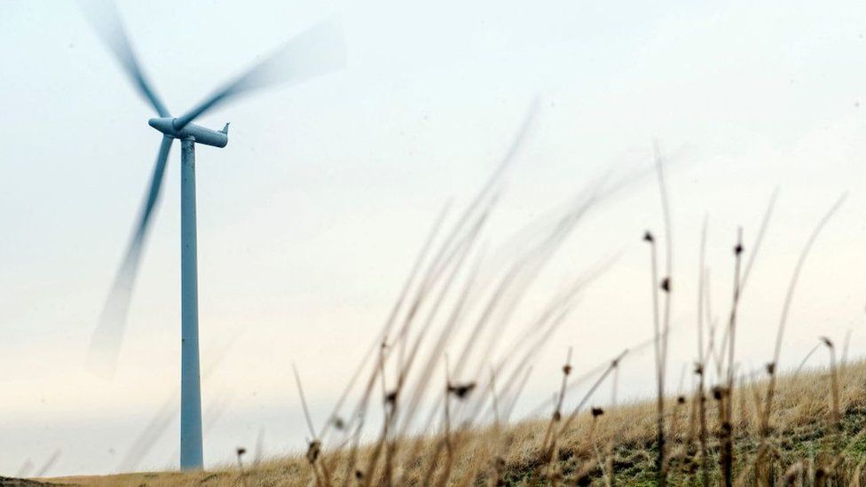 ホワイトリー風力発電所