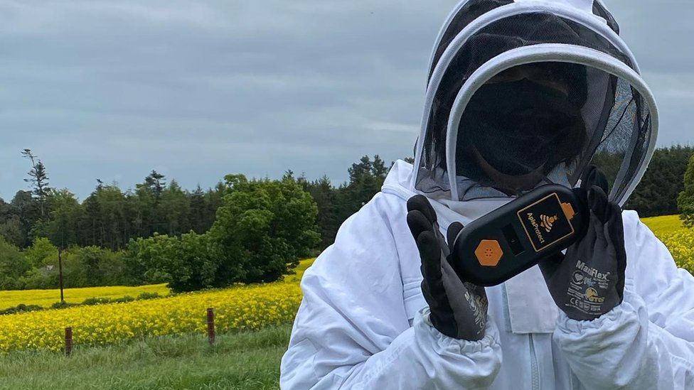 A beekeeper holding an ApisProtect monitor