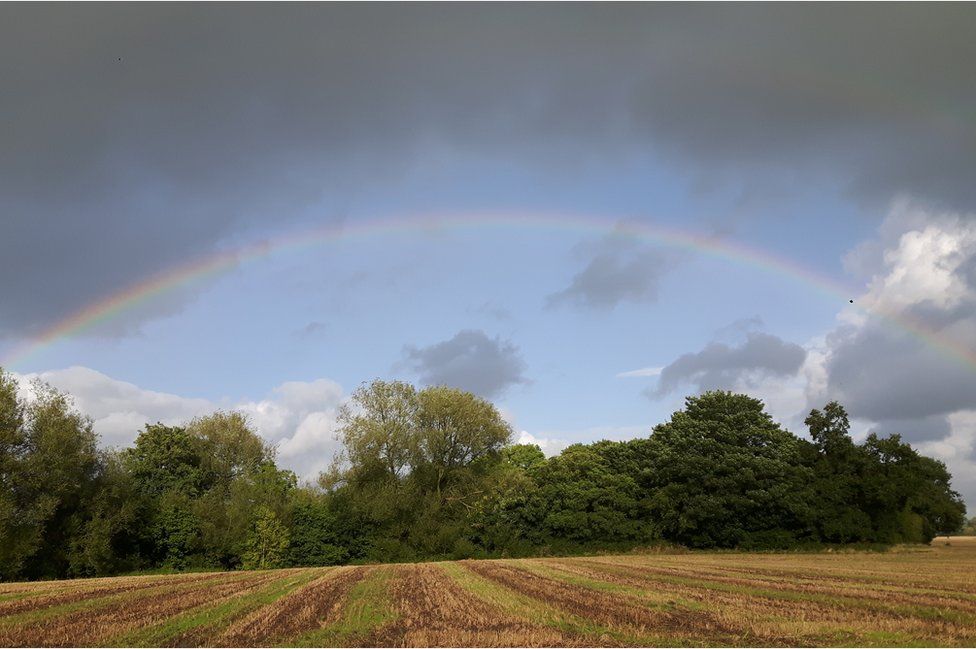 England's Big Picture: 11 - 17 September - BBC News