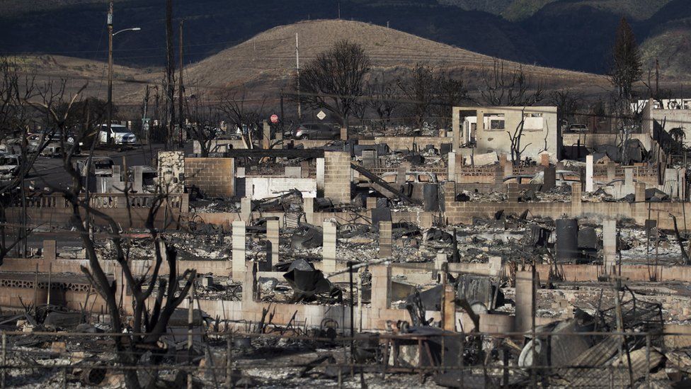 Burnt trees and the ruins of houses are what is left after the Lahaina fire burnt through the city, in Lahaina, Hawaii, USA, 13 August 2023