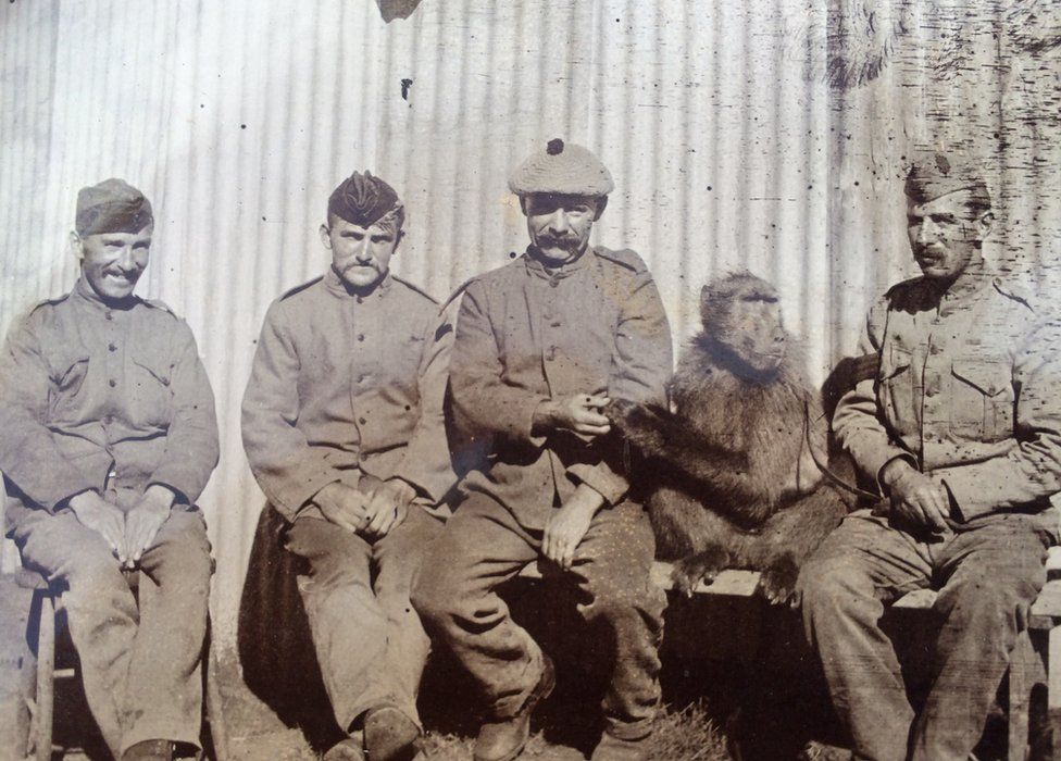 Second Boer War Photos Found Under Nottinghamshire Bed Bbc News