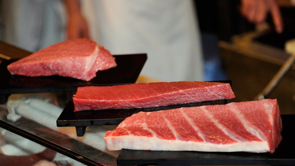 Blocks of fatty bluefin tuna steak
