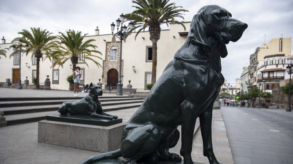 The dogs stand guard outside the Cathedral of Santa Ana